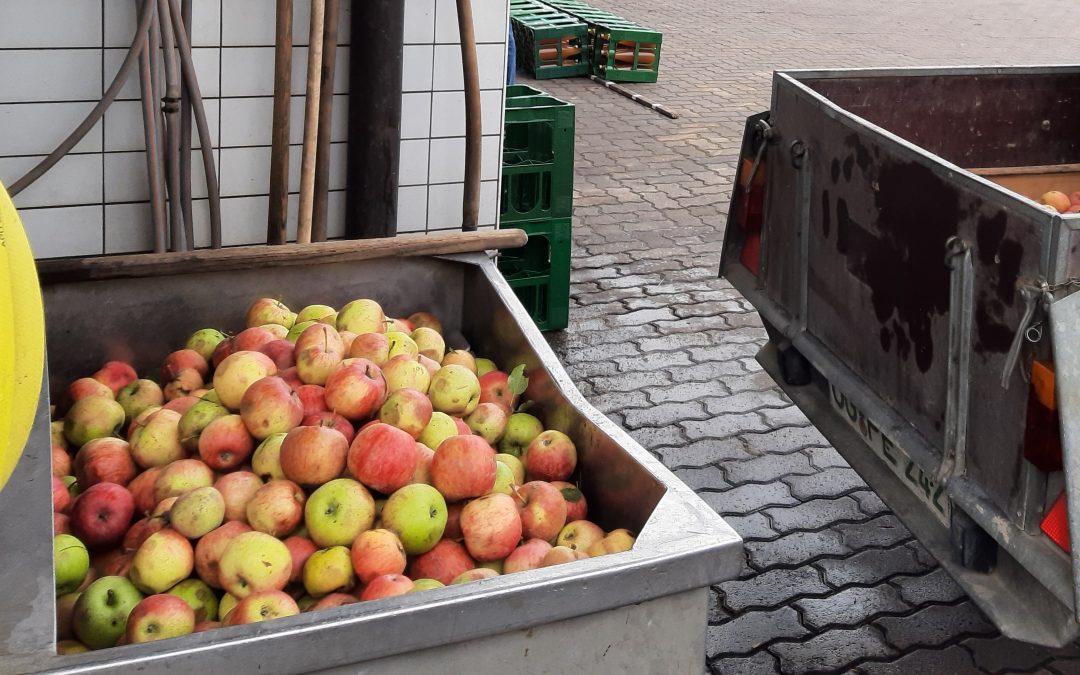Die Apfelsaft Saison beginnt am 23.8.!